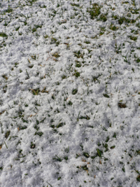 wphoto05nov4 073.JPG